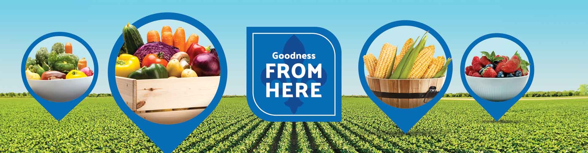 goodness_from__here Goodness from here