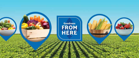 goodness_from_here__ Goodness from here