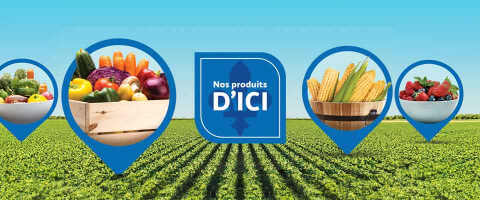 nos__produits_-dici Nos produits dici